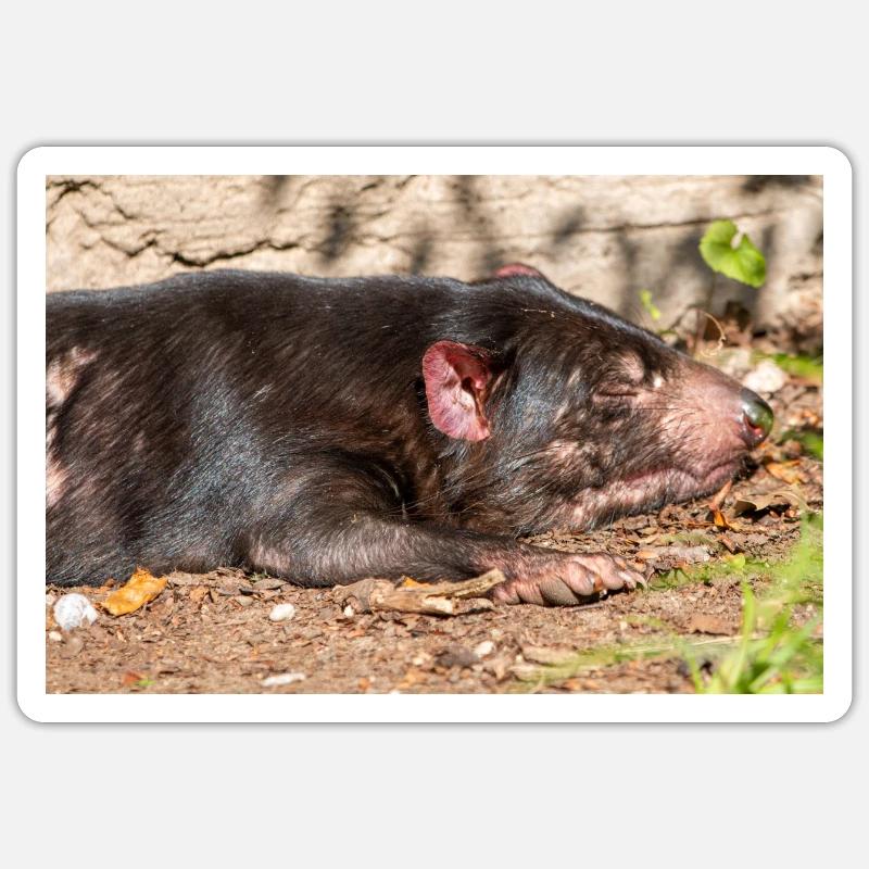 Tasmanian Devil (in german Beutelteufel) - Sticker size S (10 x 10 cm) - white matte