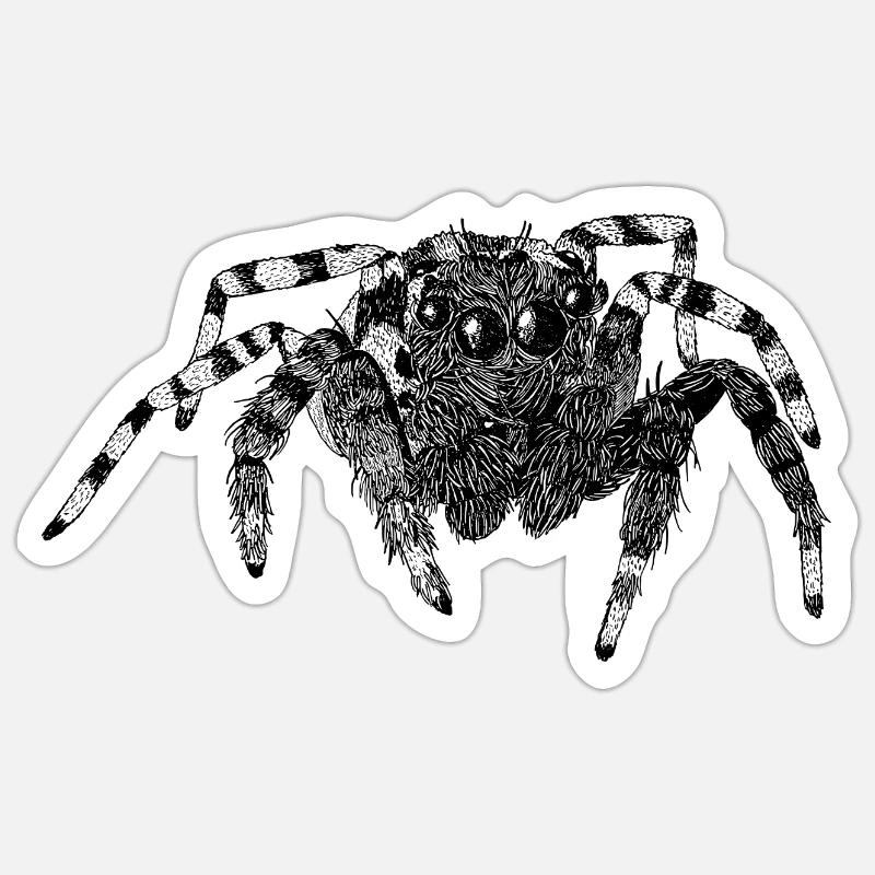 Jumping Spider Cute Spider Phidippus Arachnide Sticker size S (10 x 10 cm)
