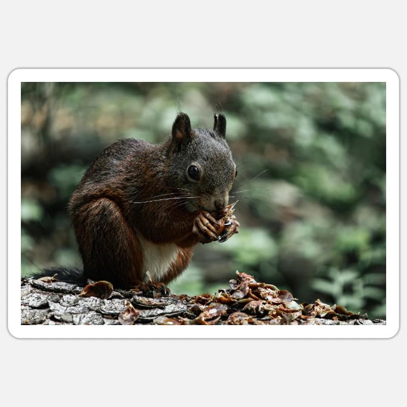 Small paws, big hunger Sticker size S (10 x 10 cm)