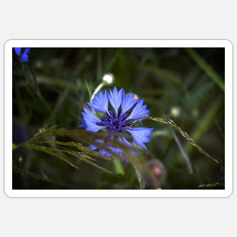 Bleuet Indigo Light - Sticker taille S (10 x 10 cm) - blanc mat
