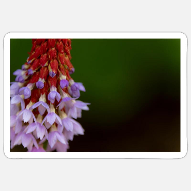 Motif de gradient de fleur de lavande Sticker taille S (10 x 10 cm)