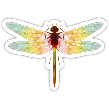 Iridescent Dragonfly – Filigree Insect Motif - Sticker size S (10 x 10 cm) - white matte - Front