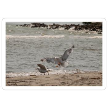 Zwischen Himmel und Meer - Sticker Größe S (10 x 10 cm) - Mattweiß - Vorne