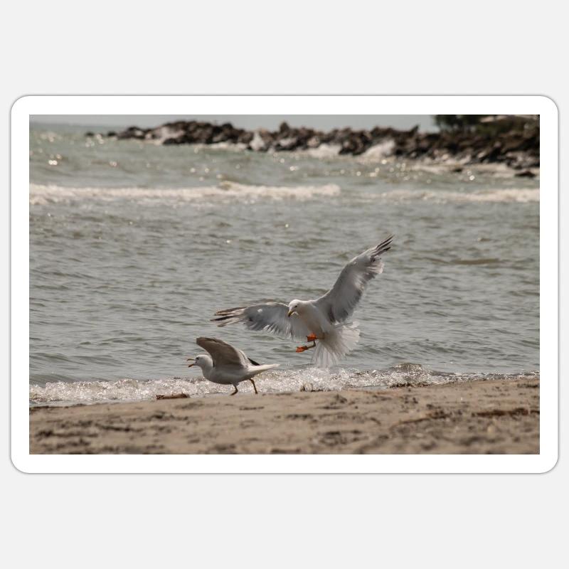 Zwischen Himmel und Meer Sticker Größe S (10 x 10 cm)