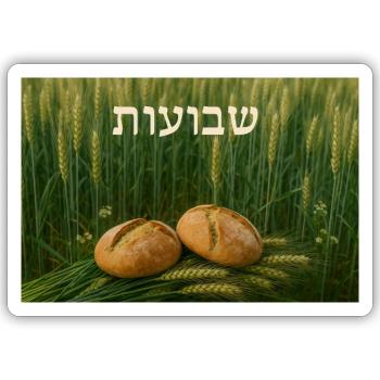 Schawuot - Sticker Größe S (10 x 10 cm) - Mattweiß - Vorne