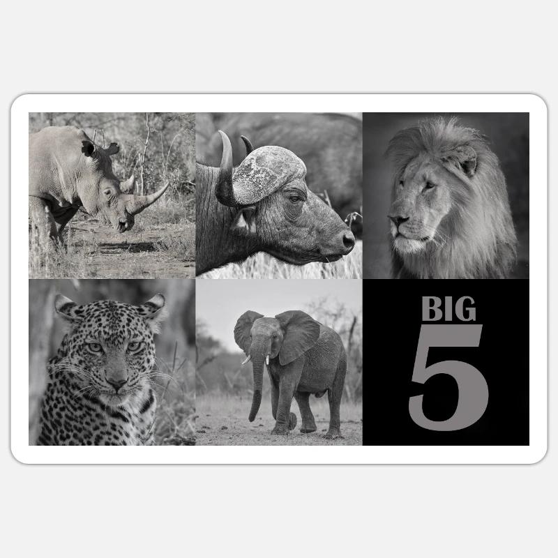 Les Big 5 de l’Afrique - Sticker taille S (10 x 10 cm) - blanc mat