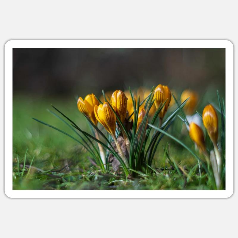 Gros plan de fleurs - Sticker taille S (10 x 10 cm) - blanc mat
