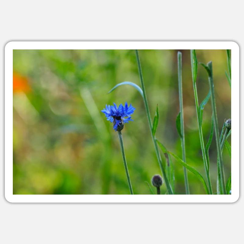 Cornflower Sticker size S (10 x 10 cm)