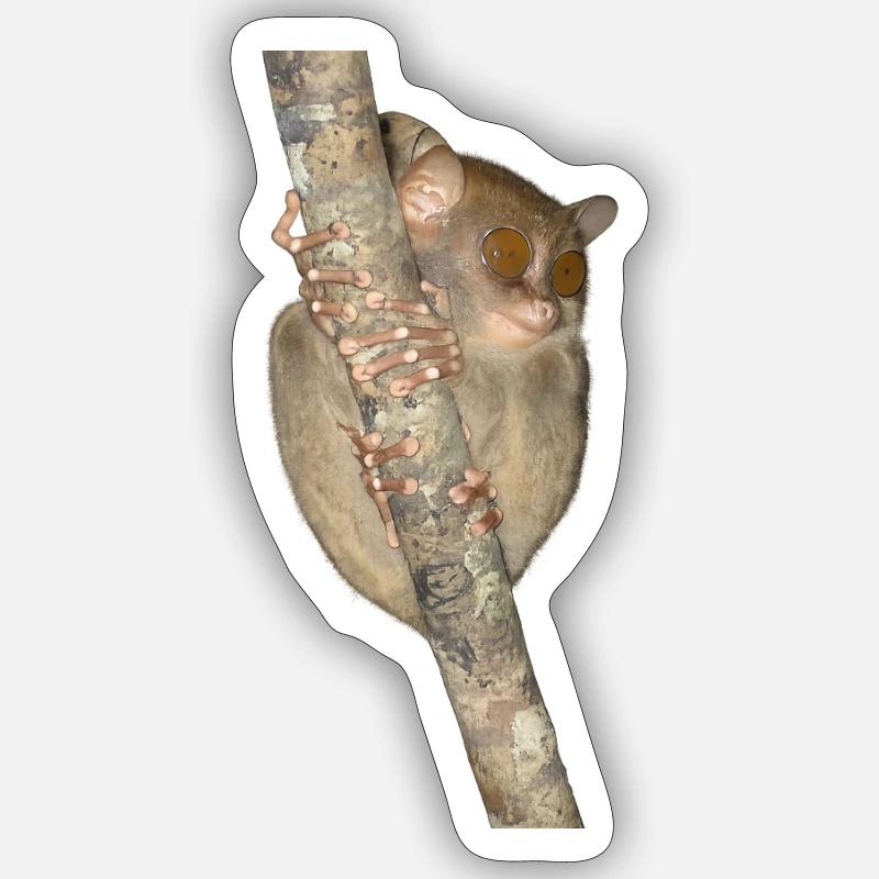Nächtlicher Kletterer Primat Sticker Größe S (10 x 10 cm)