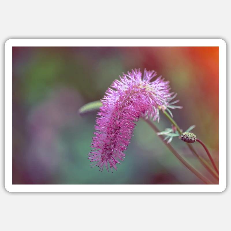 Fleur Brossée Rose - Sticker taille S (10 x 10 cm) - blanc mat