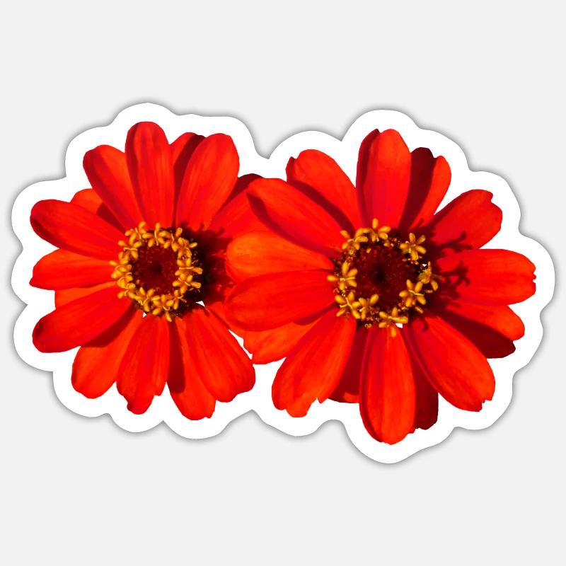 belles fleurs rouges, fleurs, nature - Sticker taille S (10 x 10 cm) - blanc mat