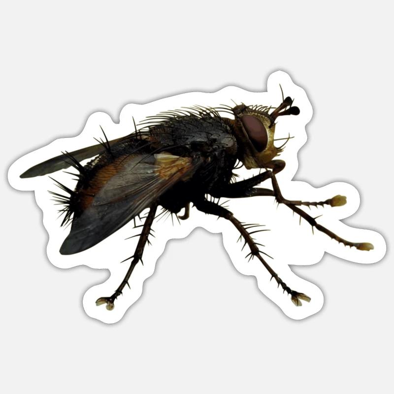 Außerirdisch Alien Wesen, oder nur eine Fliege? - Sticker Größe S (10 x 10 cm) - Mattweiß