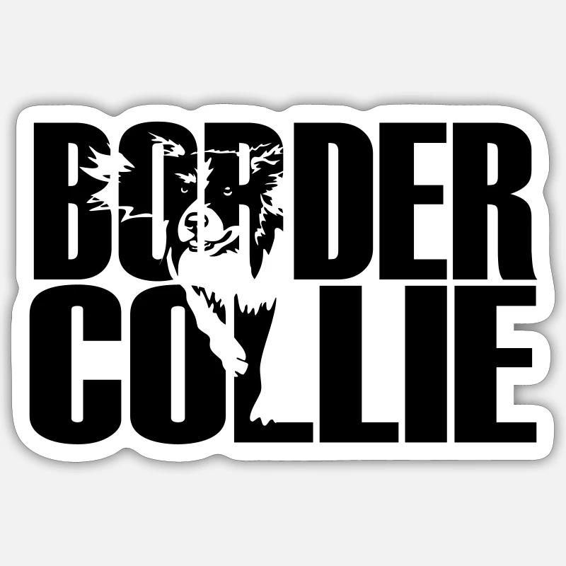 Border Collie - Sticker taille S (10 x 10 cm) - blanc mat