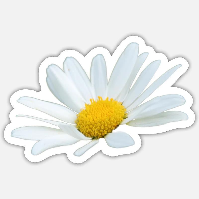 Sticker størrelse S (10 x 10 cm) - 