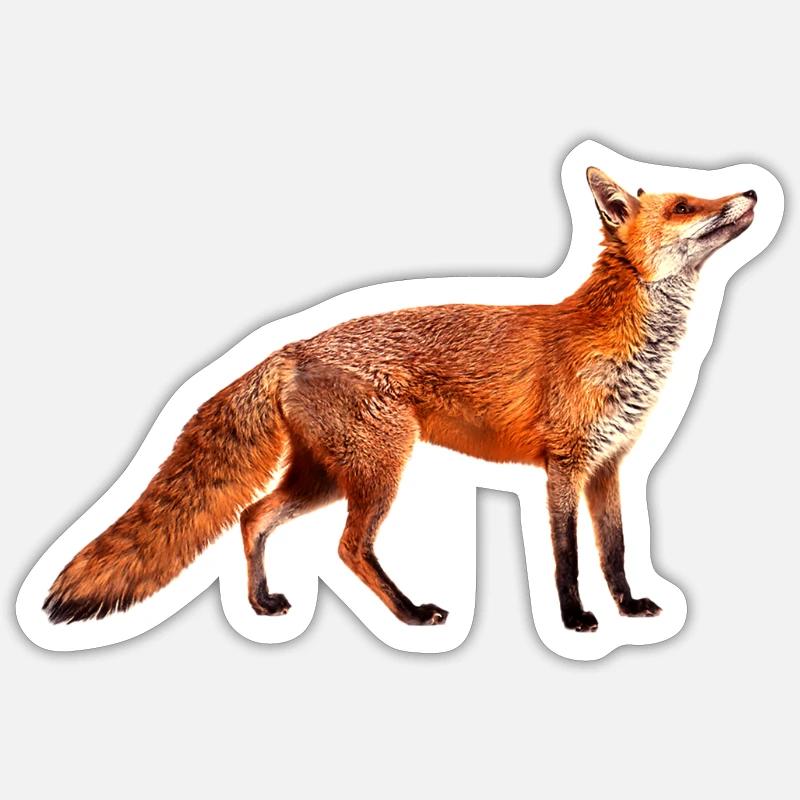 wild inteligence - Sticker taille S (10 x 10 cm) - blanc mat