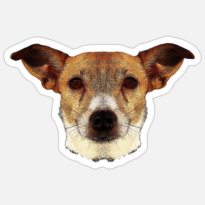 tolle geschenkideen, Jack russel terrier gesicht - Sticker Größe S (10 x 10 cm) - Mattweiß