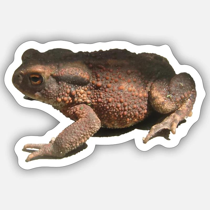 crapaud - Sticker taille S (10 x 10 cm) - blanc mat