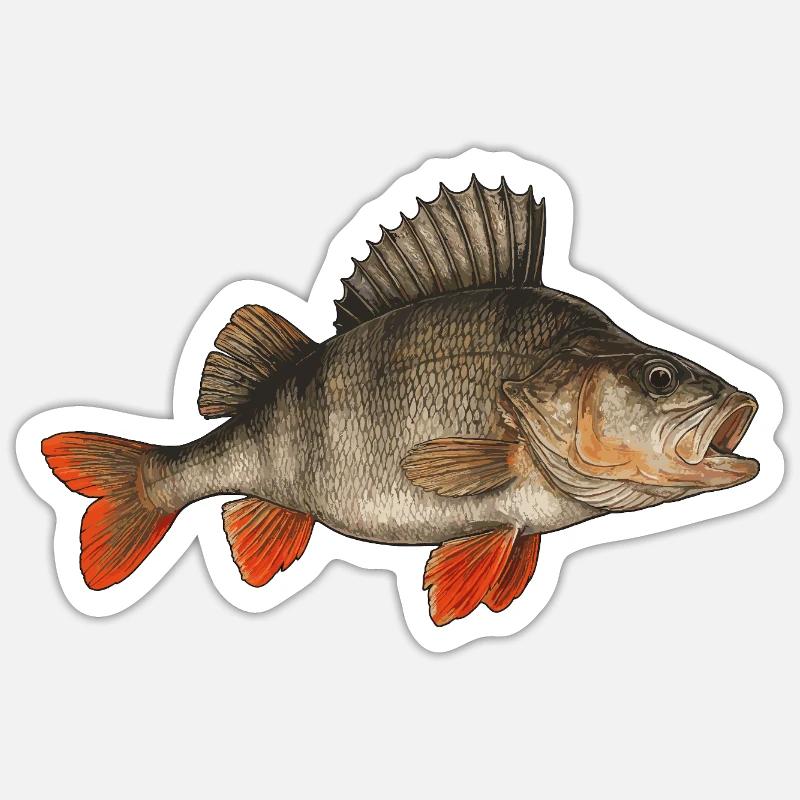 Barsch Flussbarsch Barschangeln Barsche Barsch - Sticker Größe S (10 x 10 cm) - Mattweiß