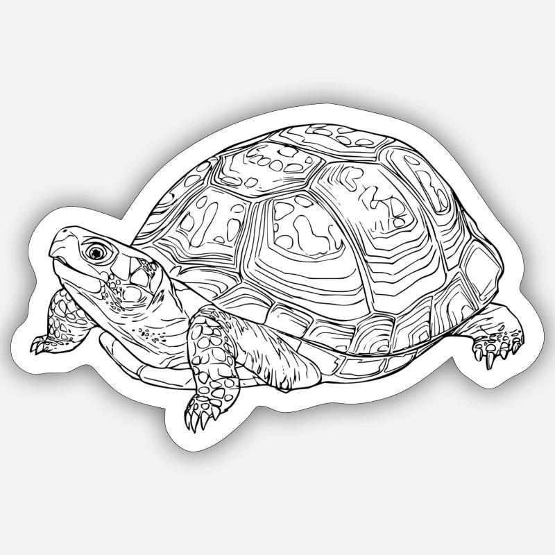 turtle - Sticker size S (10 x 10 cm) - white matte