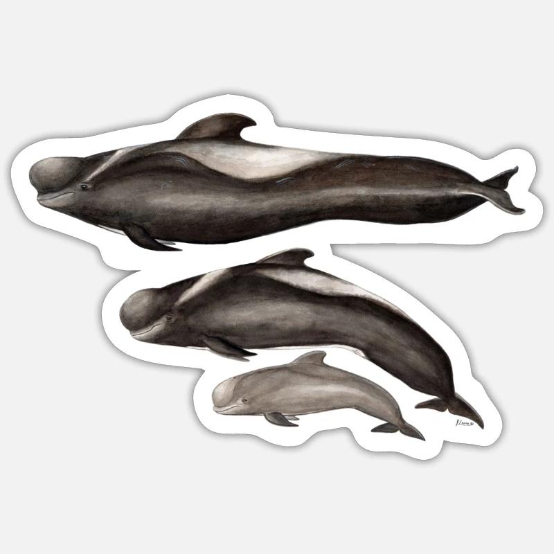 globicéphale - finned - globicéphale - Sticker taille S (10 x 10 cm) - blanc mat