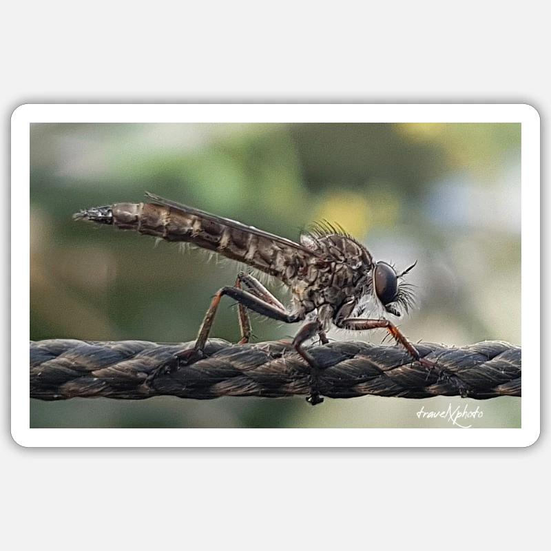 Insect Sticker size S (10 x 10 cm)