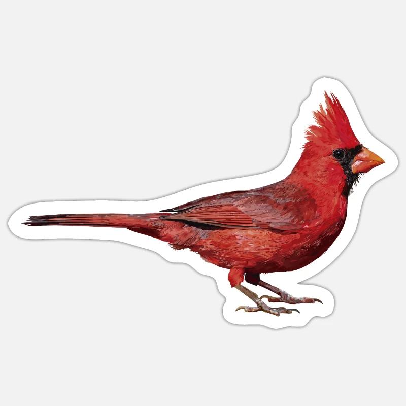Nördlicher Kardinal Sticker Größe S (10 x 10 cm)