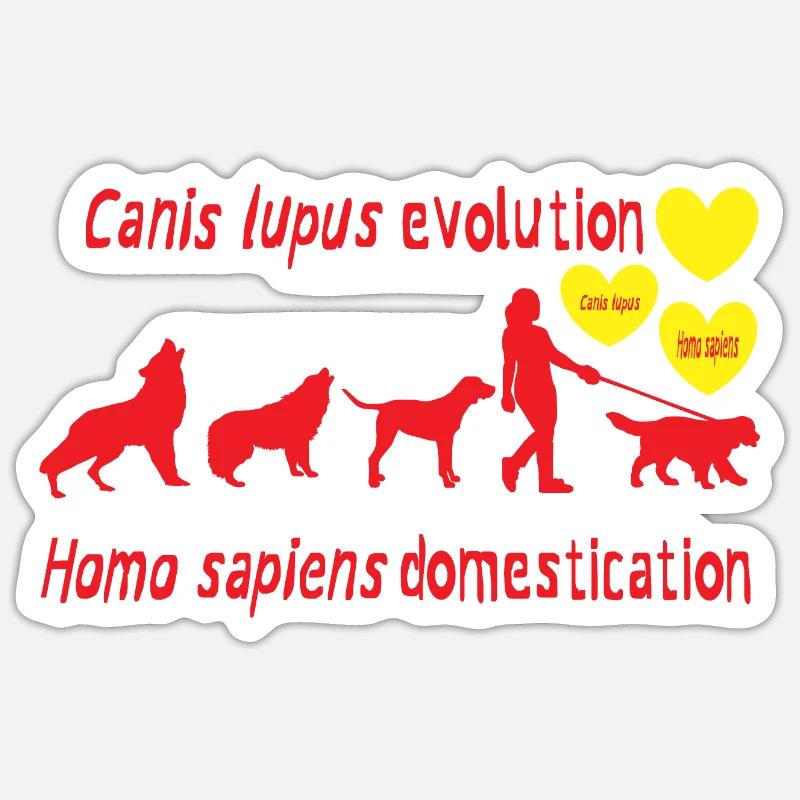Canis lupus evolution Homo sapiens domestication Sticker size S (10 x 10 cm)