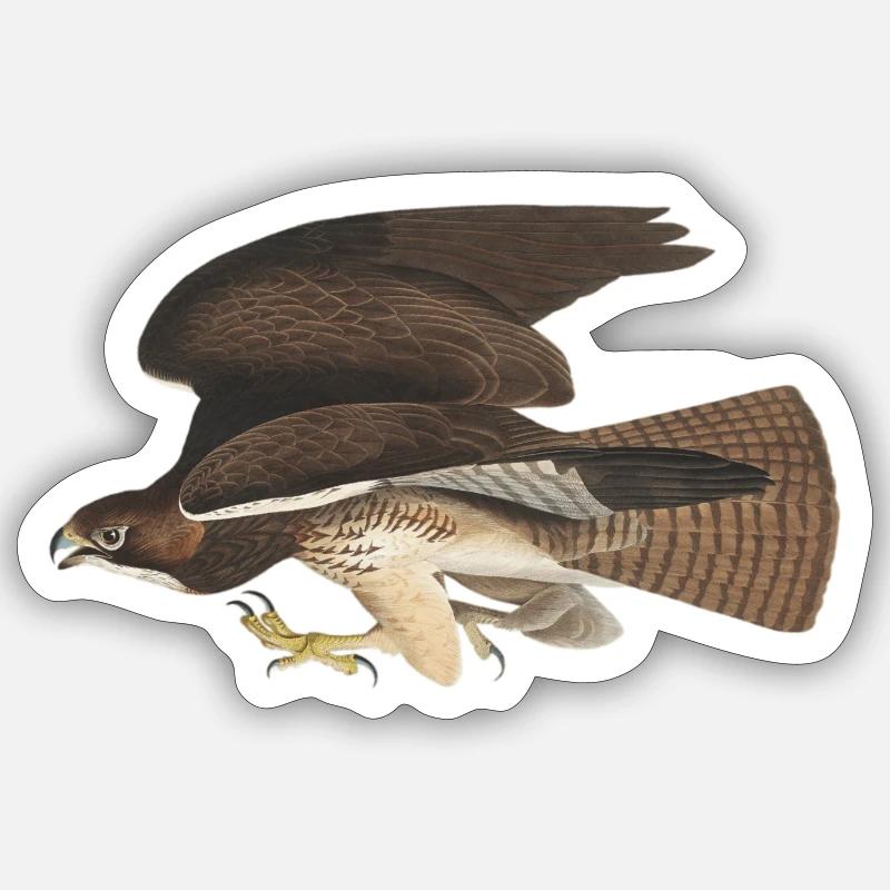 eagle - Sticker size S (10 x 10 cm) - white matte