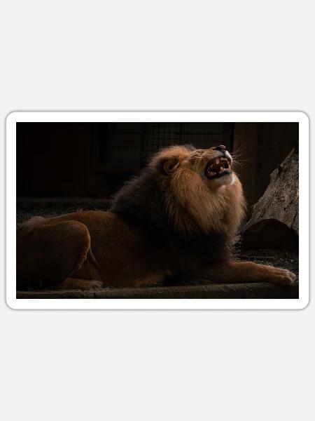 Löwenkopf - Sticker Größe S (10 x 10 cm) - Mattweiß