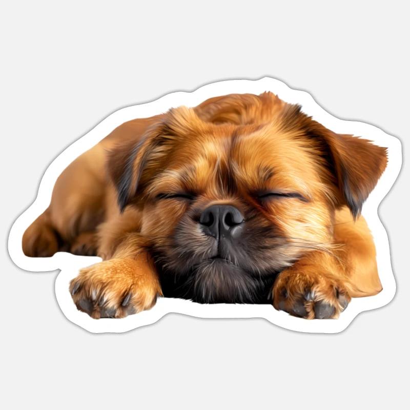 Brussels Griffon - Sticker size S (10 x 10 cm) - white matte