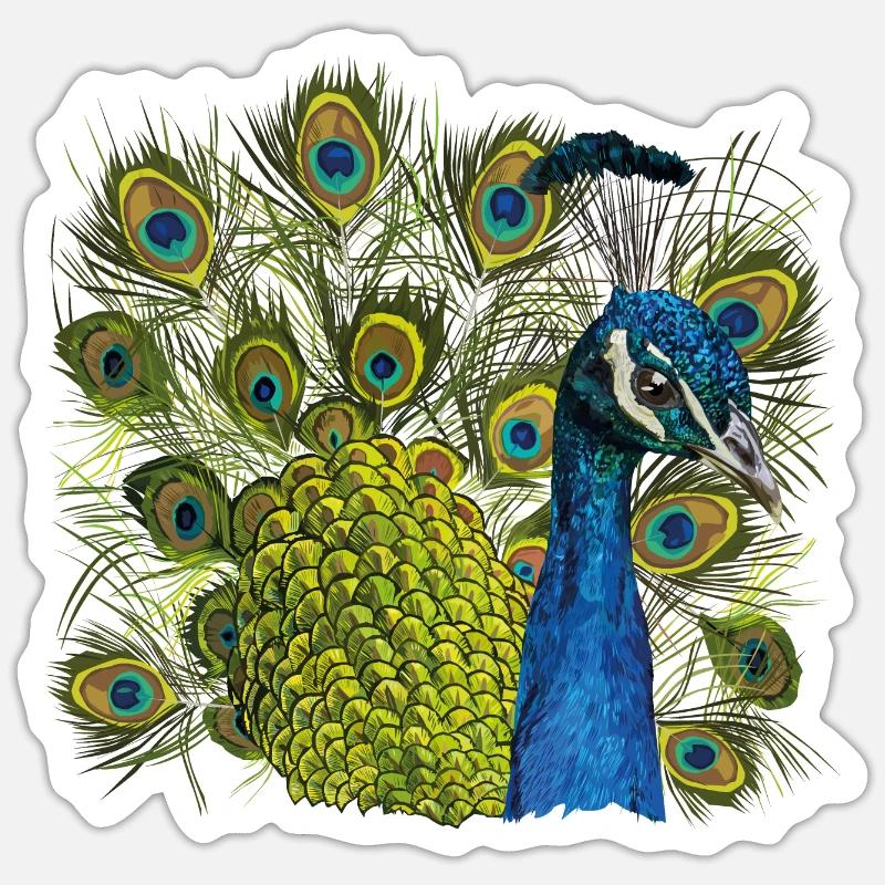 Peacock - Sticker size S (10 x 10 cm) - white matte