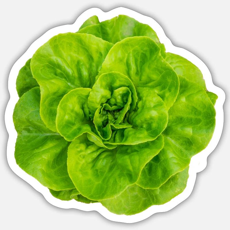 Salade - Sticker taille S (10 x 10 cm) - blanc mat