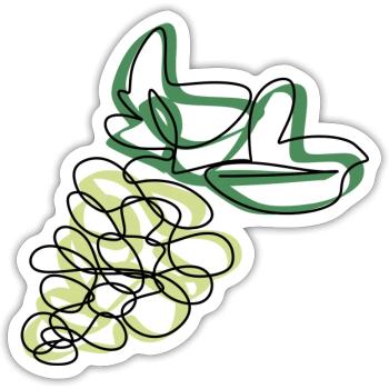 Lineart Grapes - Sticker size S (10 x 10 cm) - white matte - Front