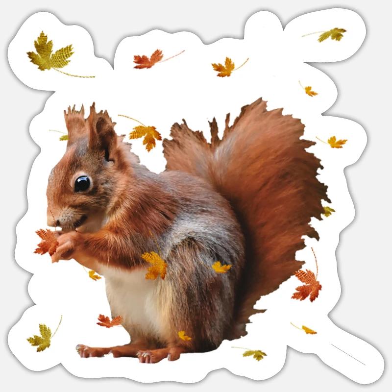 squirrel Sticker size S (10 x 10 cm)