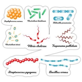 Berühmte Bakterien - Pathogene - Sticker Größe S (10 x 10 cm) - Mattweiß - Vorne