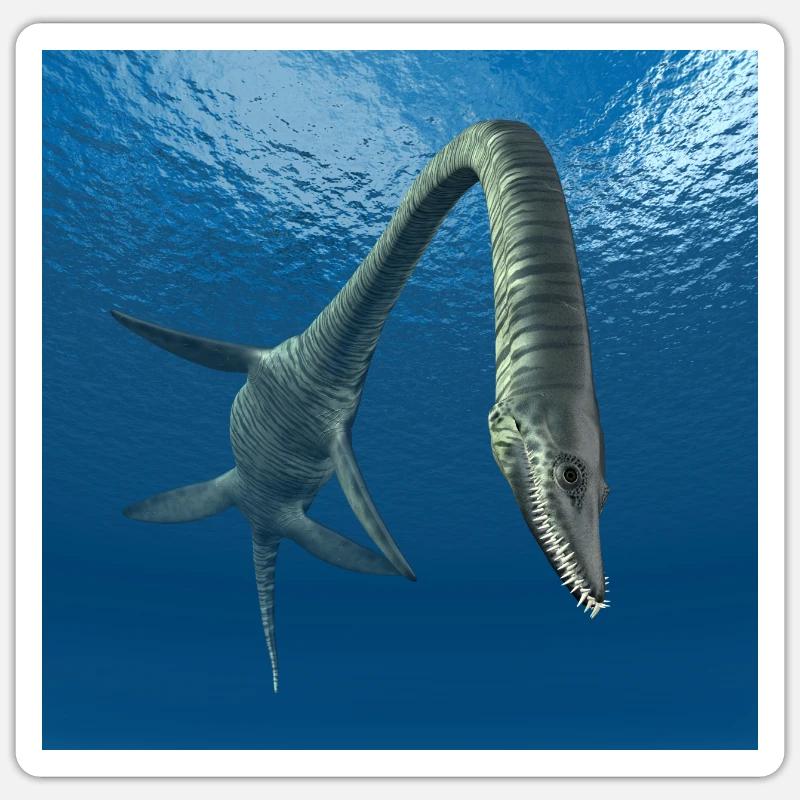 Plesiosaurier Elasmosaurus - Sticker Größe S (10 x 10 cm) - Mattweiß