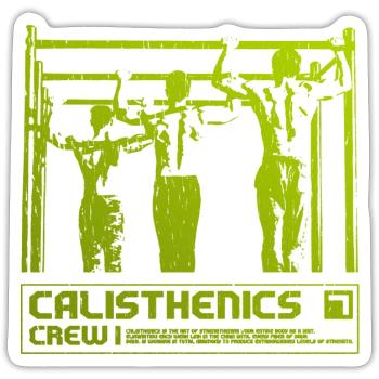 Calisthenics Crew Silhouette - Sticker Größe S (10 x 10 cm) - Mattweiß - Vorne