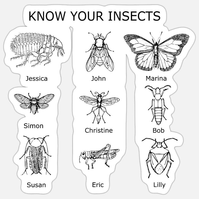 know your insects Sticker size S (10 x 10 cm)
