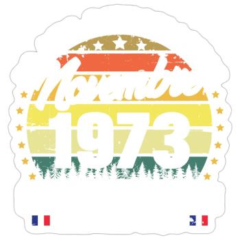 Vintage Cadeau Anniversaire 50 Ans Novembre 1973 - Sticker taille S (10 x 10 cm) - blanc mat - Devant