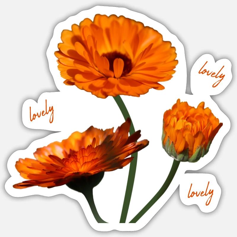 Soucis fleurs d’oranger de souci Sticker taille S (10 x 10 cm)