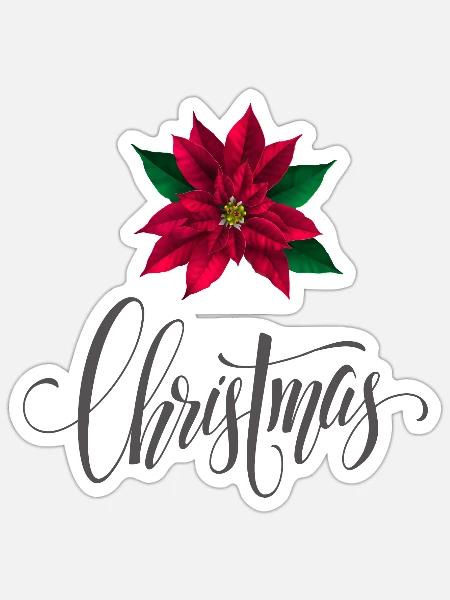 Christmas Weihnachtsstern - Sticker Größe S (10 x 10 cm) - Mattweiß