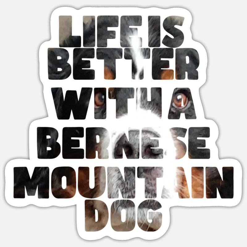 Bouvier bernois - Sticker taille S (10 x 10 cm) - blanc mat