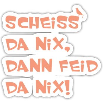 SCHEISS DA NIX DANN FEID DA NIX Bayern - Sticker Größe S (10 x 10 cm) - Mattweiß - Vorne