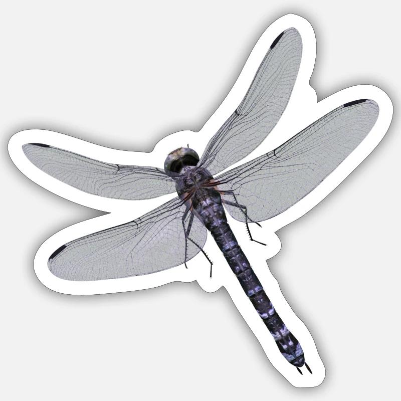 Luciole Sticker taille S (10 x 10 cm)