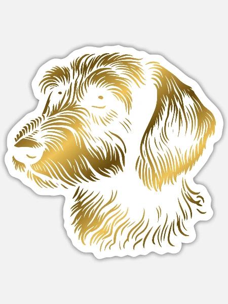 Rauhaardackel Rauhaarteckel Zeichnung Kopf gold - Sticker Größe S (10 x 10 cm) - Mattweiß
