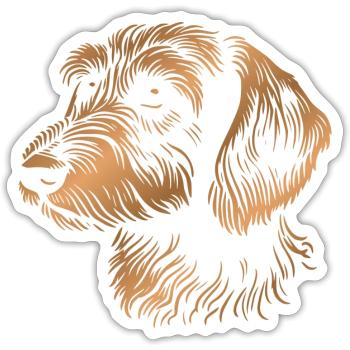 teckel à poil dur teckel à poil dur tête de dessin bronze - Sticker taille S (10 x 10 cm) - blanc mat - Devant