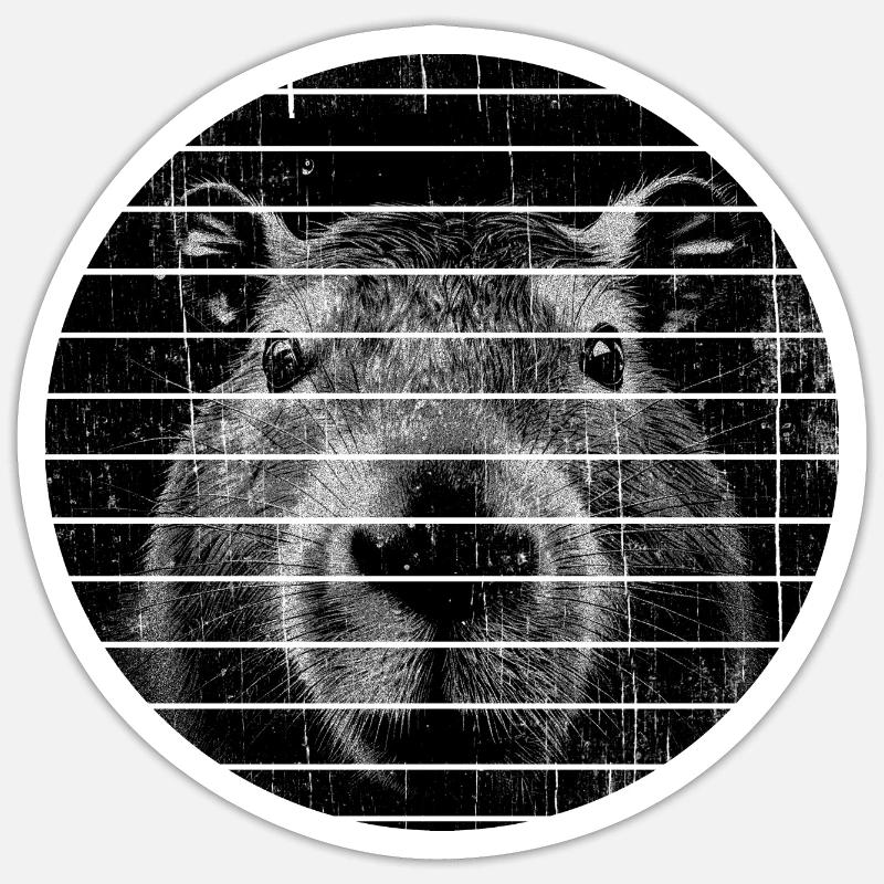 Capybara Portrait Capybara - Sticker taille S (10 x 10 cm) - blanc mat