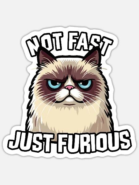 NICHT SCHNELL, NUR WÜTEND, LUSTIGE KATZE - Sticker Größe S (10 x 10 cm) - Mattweiß