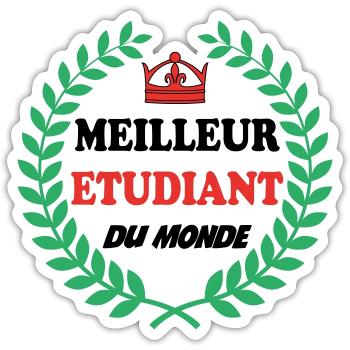 BEST STUDENT IN THE WORLD - Sticker size S (10 x 10 cm) - white matte - Front