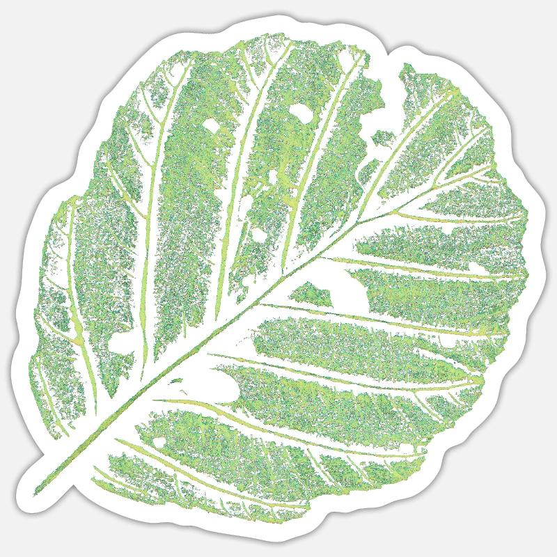 Leaf / Alder - Sticker size S (10 x 10 cm) - white matte